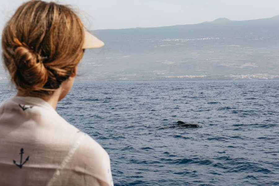 Costa Adeje: Whale & Dolphin Eco-Cruise with Snacks & Drinks - Watching pilot whales and dolphins without a chase