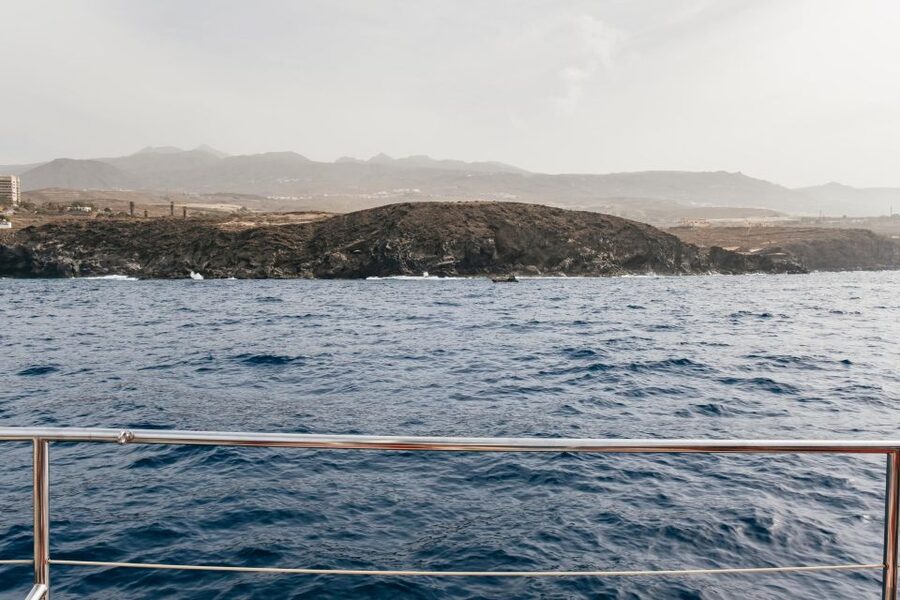Costa Adeje: Whale & Dolphin Eco-Cruise with Snacks & Drinks - The three-hour option and its swim stop