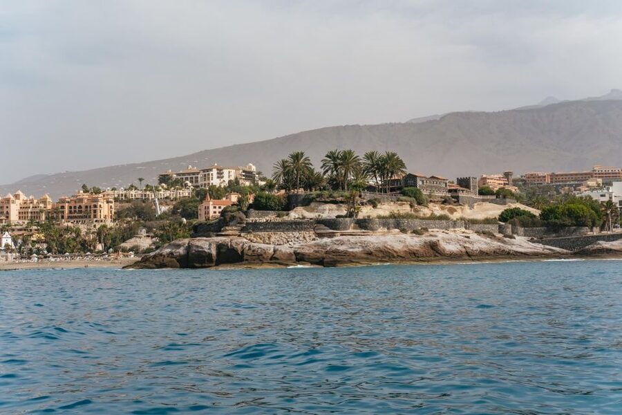 Costa Adeje: Whale & Dolphin Eco-Cruise with Snacks & Drinks - Comfort, seating, and what to wear
