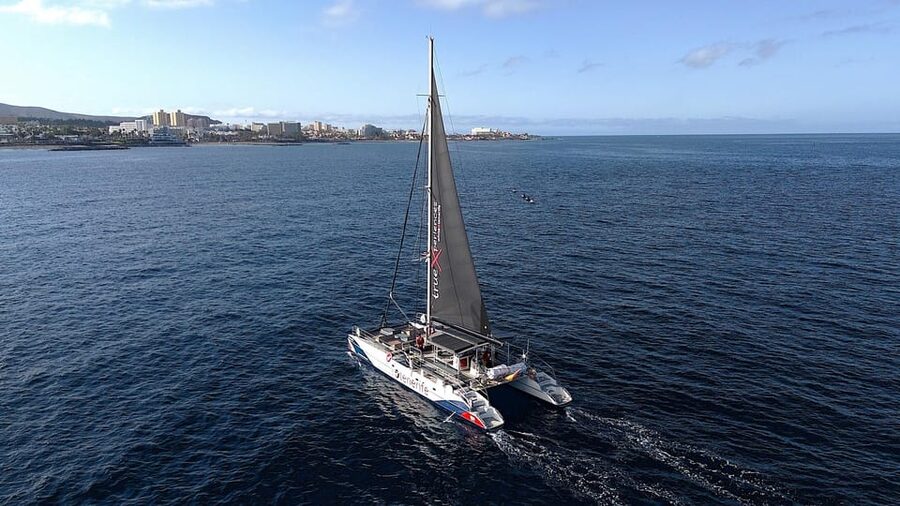 Costa Adeje: Whale & Dolphin Eco-Cruise with Snacks & Drinks - Eco-friendly claims and responsible wildlife watching
