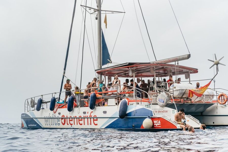 Costa Adeje: Whale & Dolphin Eco-Cruise with Snacks & Drinks - Leaving Puerto Colón for the whale sanctuary