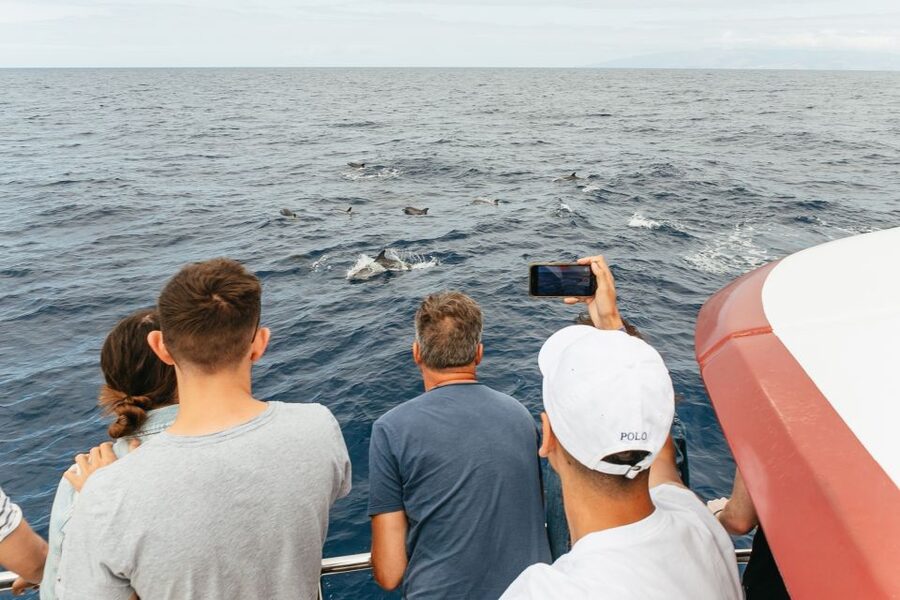 Costa Adeje: Whale & Dolphin Submarine Vision Mini Cruise - Who will enjoy this cruise most?