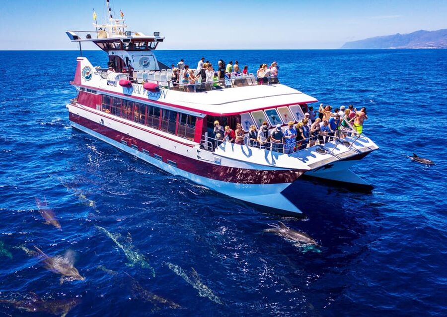 Costa Adeje: Whale & Dolphin Submarine Vision Mini Cruise - Leaving Puerto Colón on the Royal Delfin
