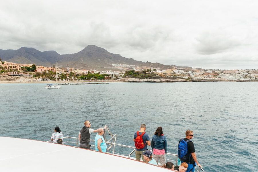 Costa Adeje: Whale & Dolphin Submarine Vision Mini Cruise - What you see from the deck