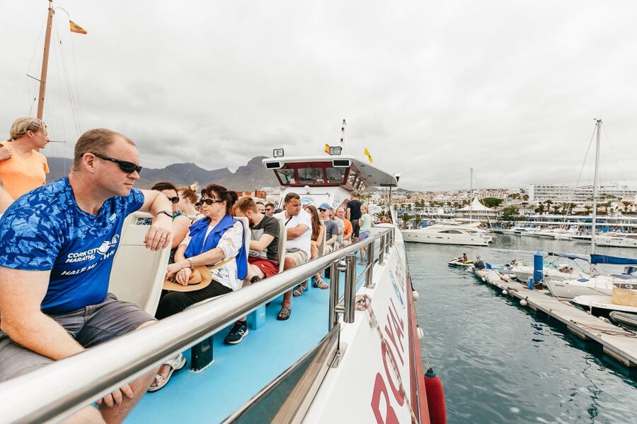 Costa Adeje: Whale & Dolphin Submarine Vision Mini Cruise - Seasickness, children, and comfort