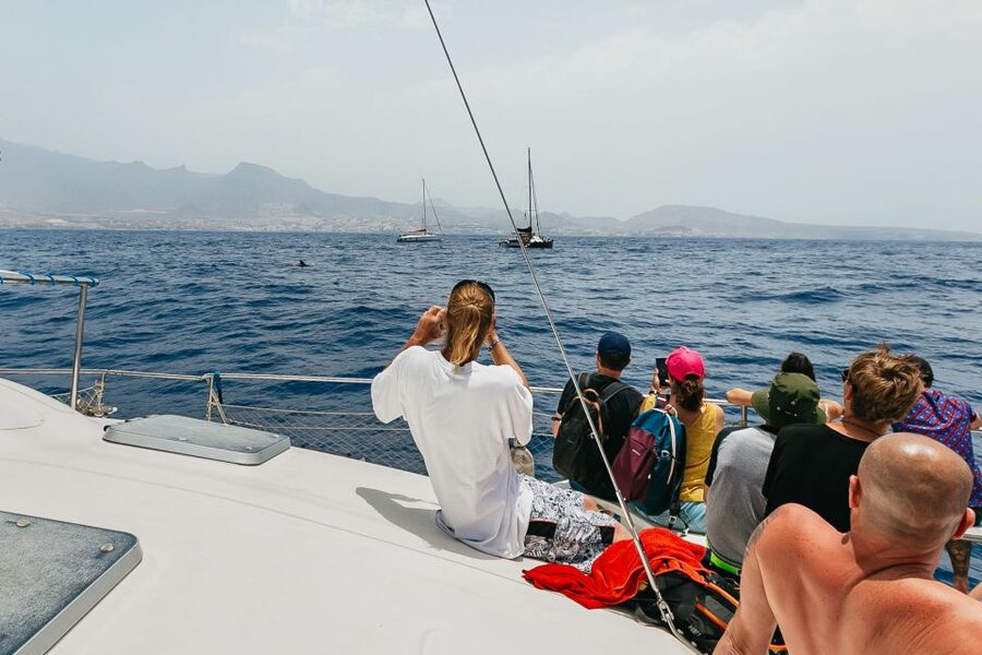 Costa Adeje: Whale Watching Catamaran Tour with Drinks - Who should book this catamaran trip?