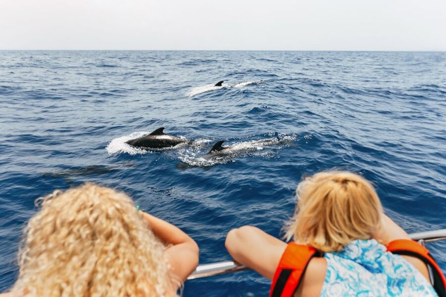 Costa Adeje: Whale Watching Catamaran Tour with Drinks - Watching resident pilot whales near Tenerife