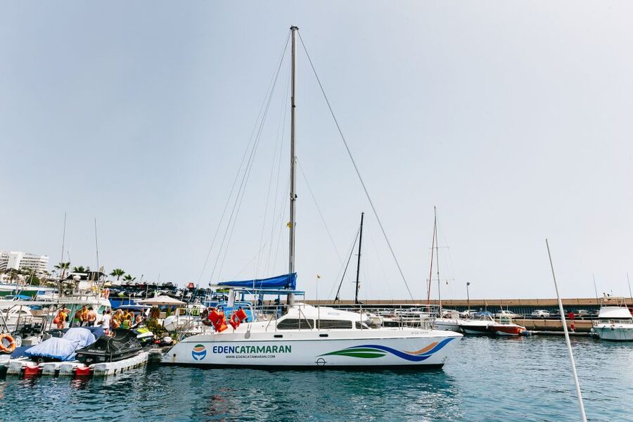 Costa Adeje: Whale Watching Catamaran Tour with Drinks - Fish farms, dolphins, and the chance of a surprise sighting