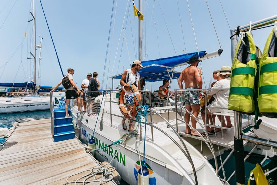 Costa Adeje: Whale Watching Catamaran Tour with Drinks - Sea conditions, families, and comfort