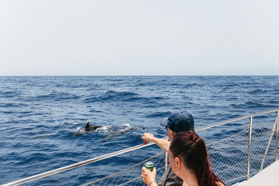Costa Adeje: Whale Watching Catamaran Tour with Drinks - Leaving Puerto Colón for the open water