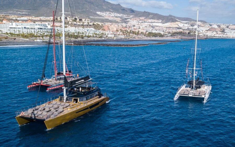 Costa Adeje: Whale Watching Cruise - Key points to know before booking