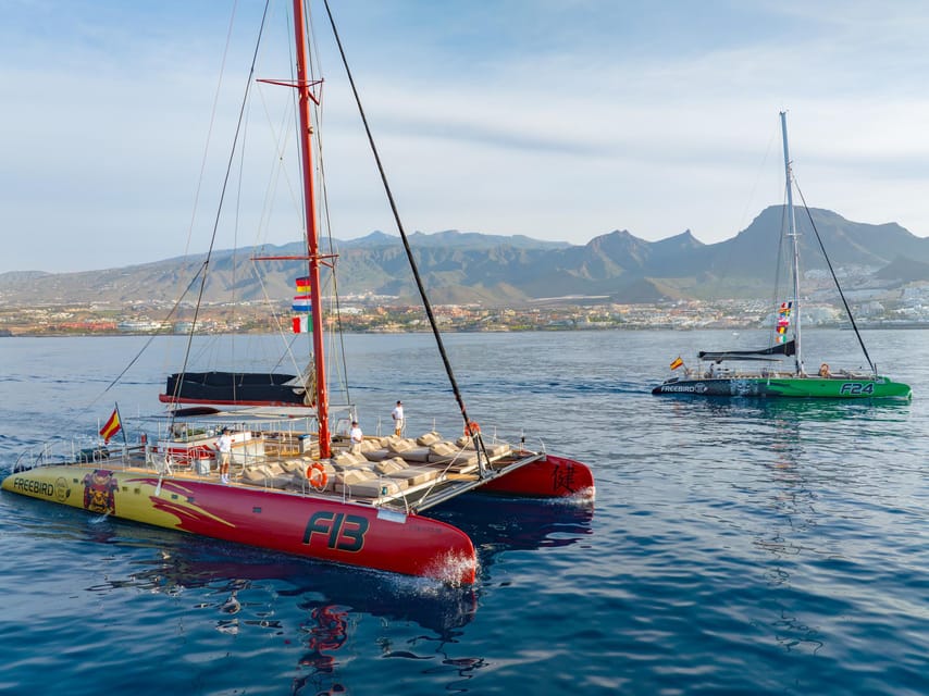 Costa Adeje: Whale Watching Cruise - The catamaran experience: space, shade, and sea conditions