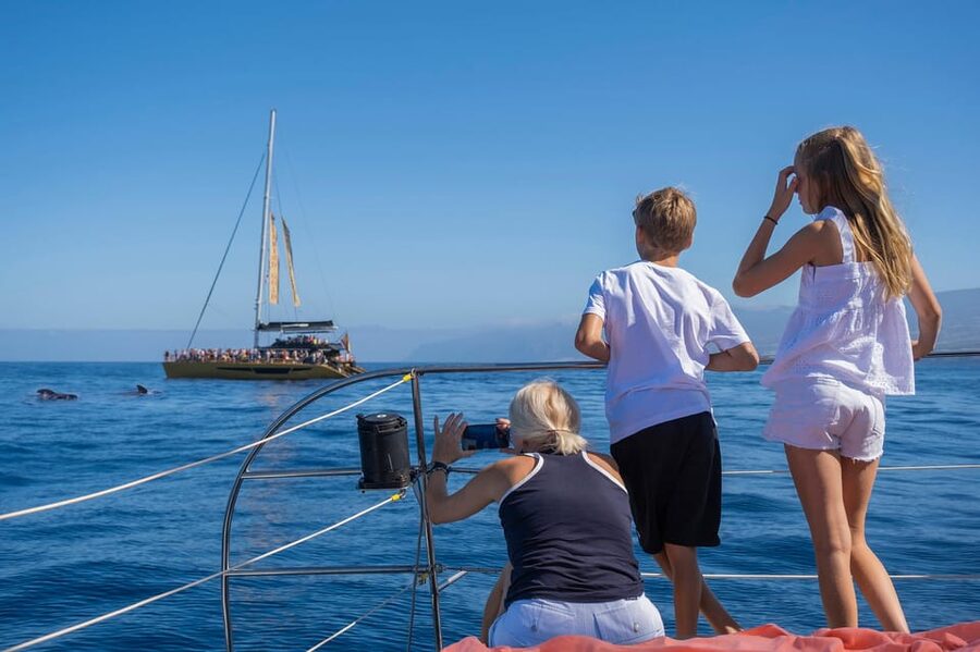Costa Adeje: Whale Watching Cruise - The swim stop in a quiet bay