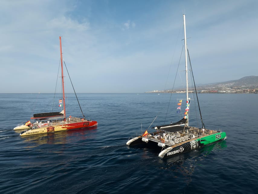 Costa Adeje: Whale Watching Cruise - What the included food and drinks really mean