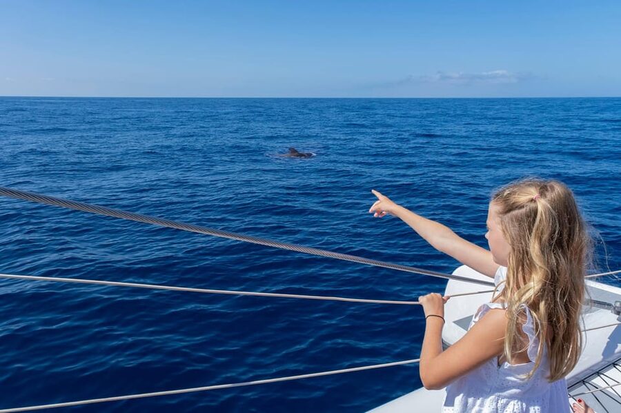 Costa Adeje: Whale Watching Cruise - Photographs and the extra-cost add-ons
