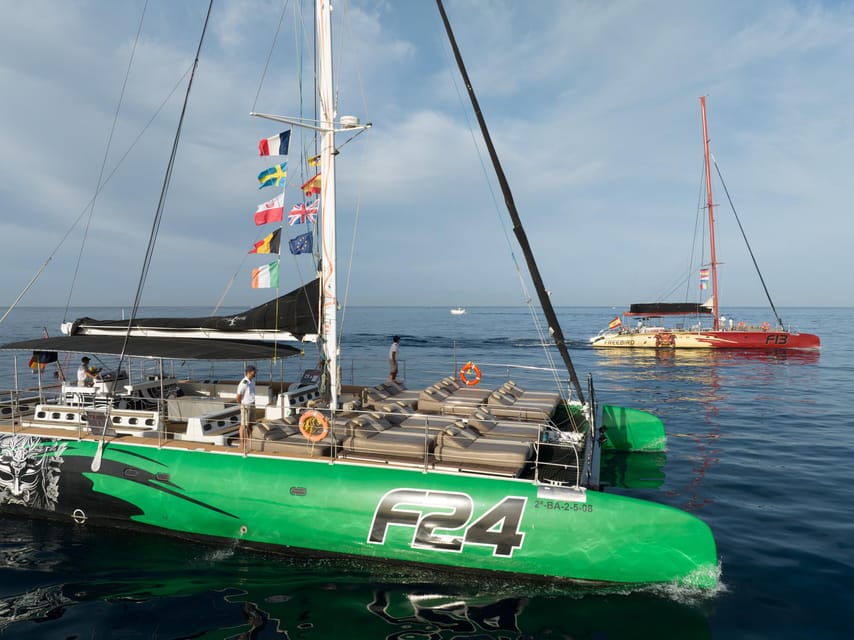 Costa Adeje: Whale Watching Cruise - Is Freebird worth booking?