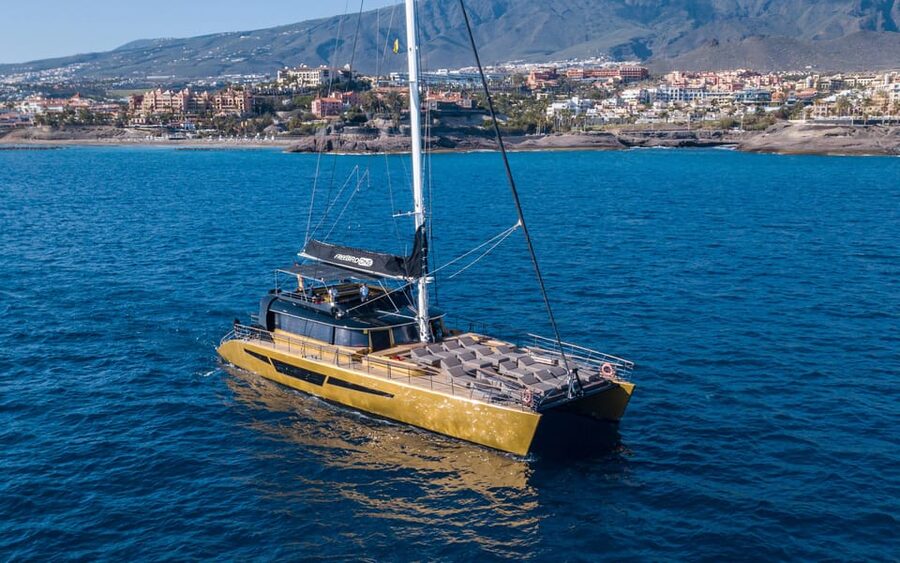 Costa Adeje: Whale Watching Cruise - Searching for pilot whales and dolphins