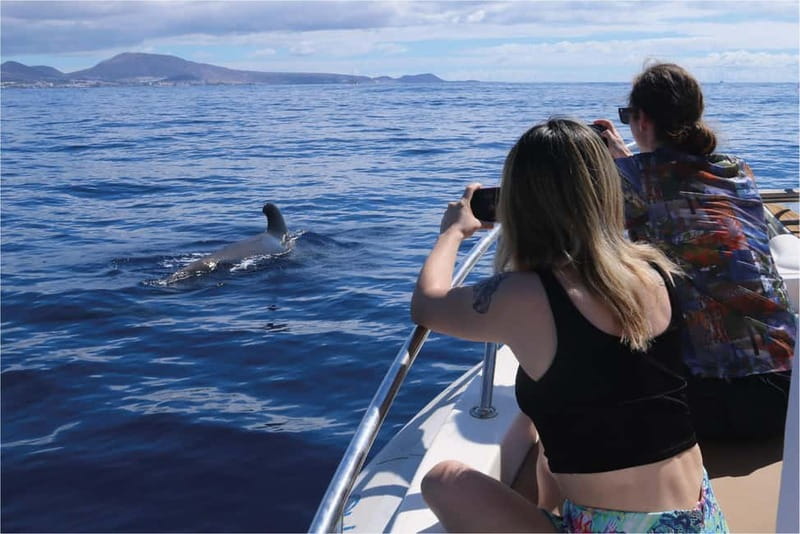 Costa Adeje: Whale Watching Eco Experience with Hydrophone. - Why the hydrophone changes whale watching