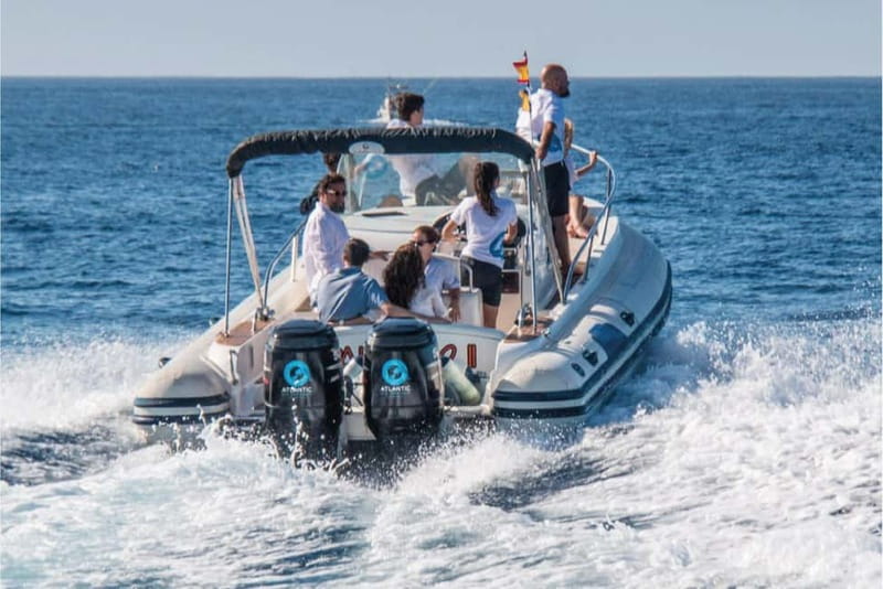 Costa Adeje: Whale Watching Eco Experience with Hydrophone. - A small crew with room for questions