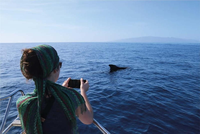 Costa Adeje: Whale Watching Eco Experience with Hydrophone. - Setting out from Costa Adeje