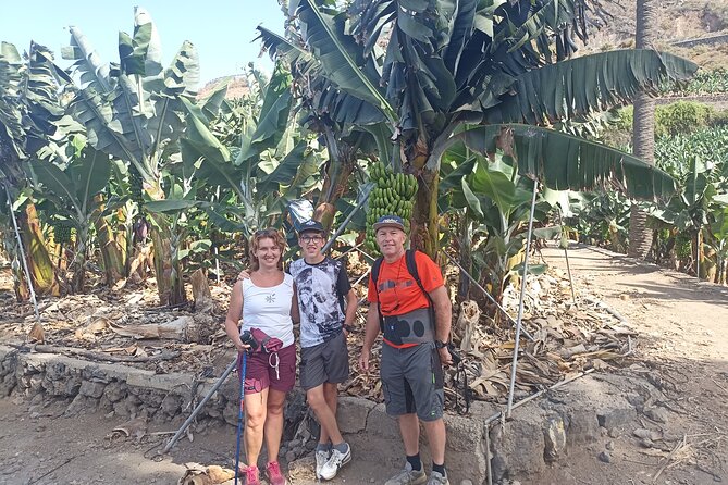 Custom Private Tenerife Full Island VIP Tour - photos included - Los Roques and its black volcanic shore