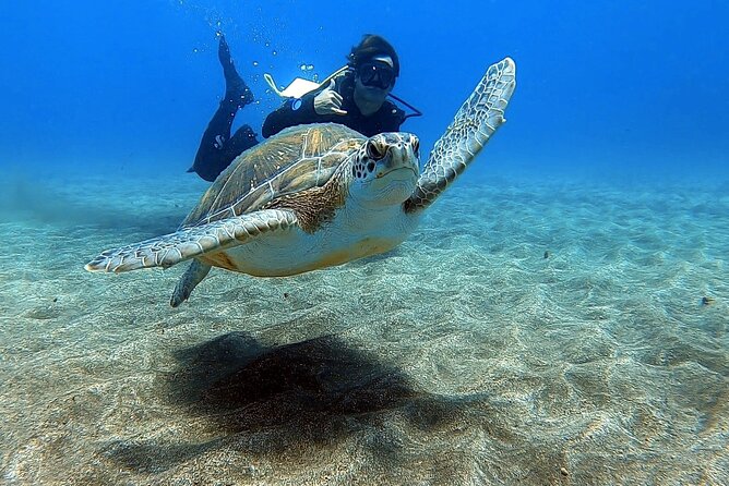 Discover beginner diving in Tenerife - Key points for your Abades scuba session