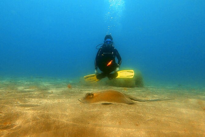 Discover beginner diving in Tenerife - The practical rules that can affect your plans