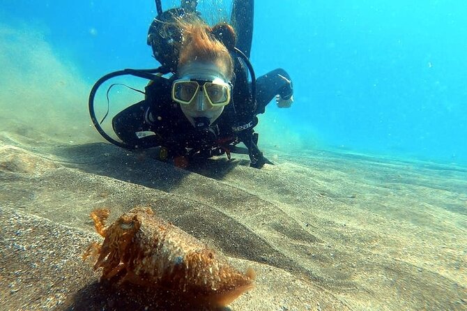 Discover beginner diving in Tenerife - Who will enjoy this Abades experience most