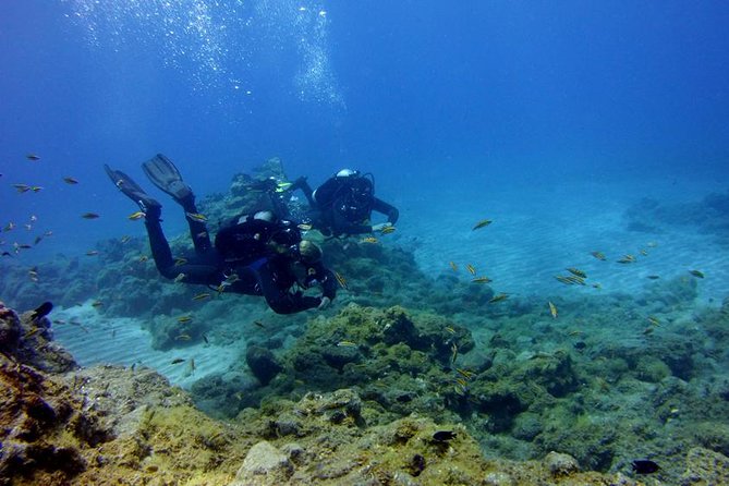 Discover Scuba Diving Adventure in Tenerife - Key points before you book