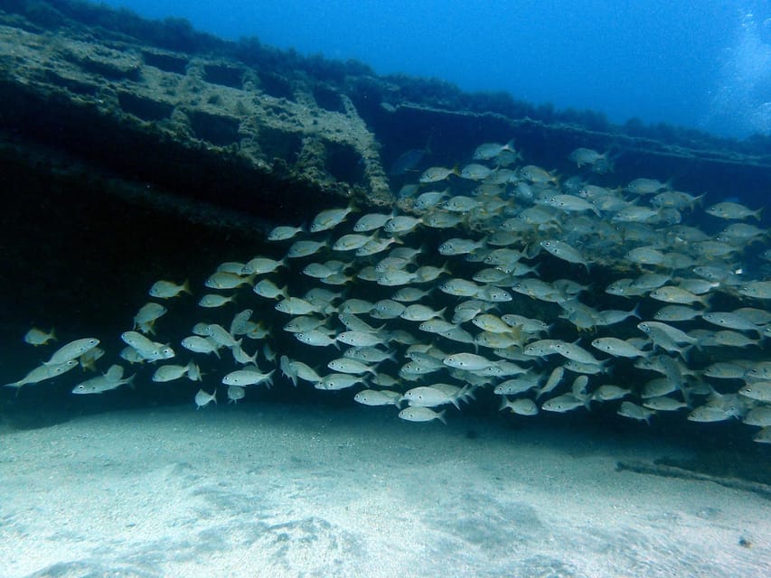 Discover Scuba Diving Experience - Two hours at Costa Adeje