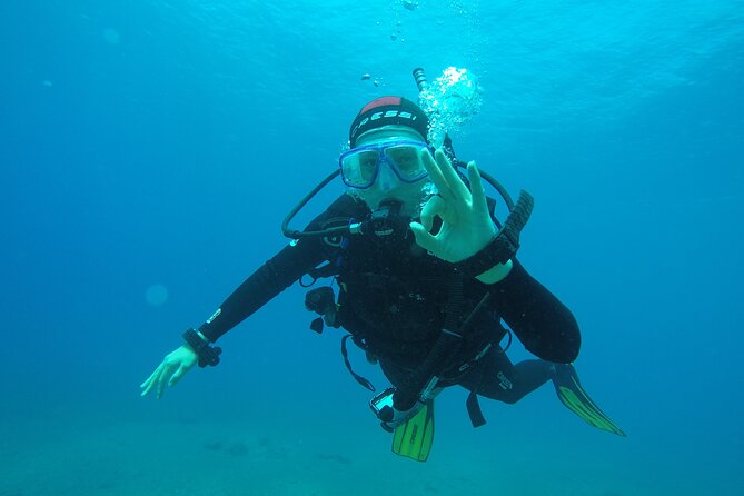 Discover Scuba Diving . First Experience underwater - What you may see at Playa Las Vistas