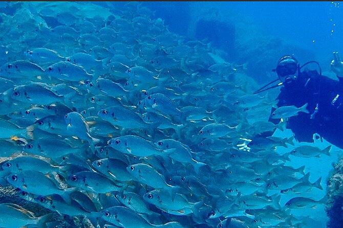 Discover Scuba Diving . First Experience underwater - Why the instructor matters so much
