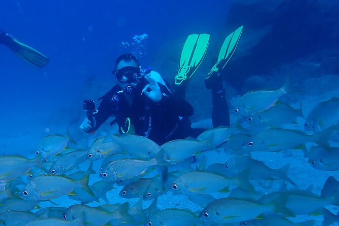 Discover Scuba Diving . First Experience underwater - Meeting point, timing, and practical planning