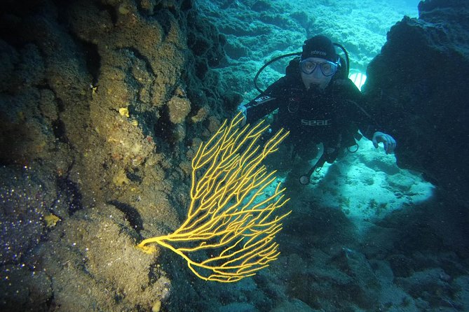 DISCOVER SCUBA DIVING - First step to your certification - Key points to know before booking