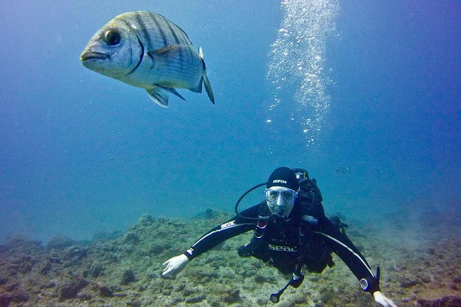 DISCOVER SCUBA DIVING - First step to your certification - Starting at LJ Diving Tenerife in Las Galletas