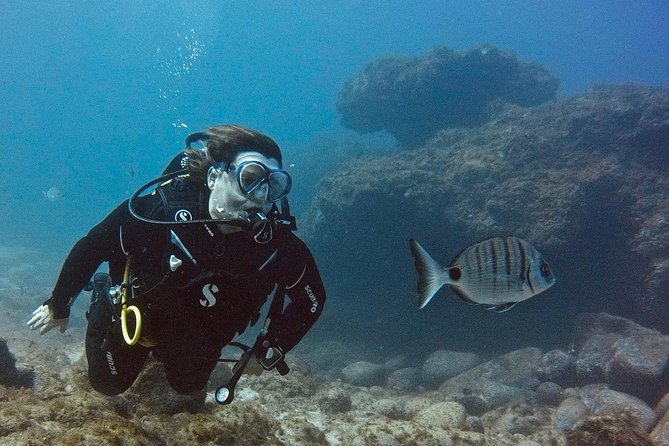 DISCOVER SCUBA DIVING - First step to your certification - The classroom comes before the water