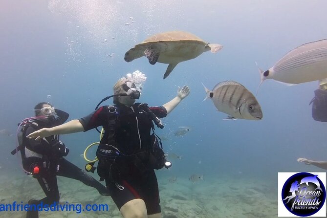 Discover Scuba Diving, free pictures included - Photos help you remember the first attempt