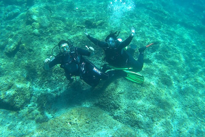 Discover Scuba Diving in Tenerife - The price and the practical value