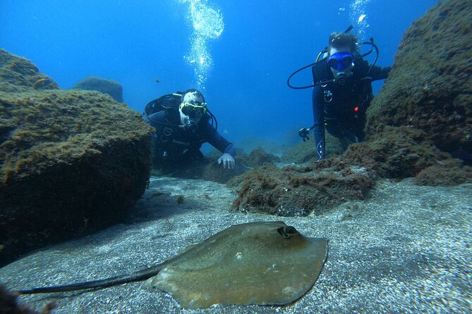 Discover Scuba Diving in Tenerife - Planning around transport, weather, and flights