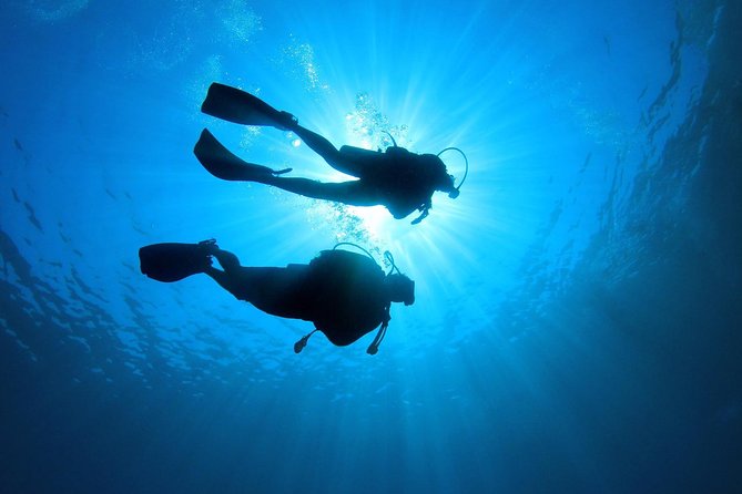 Discover Scuba Diving in Tenerife - La Caleta bay and the first view underwater