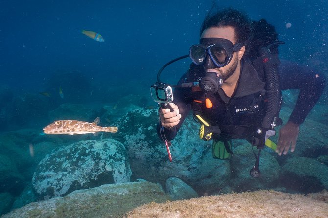 Discover Scuba Diving, Playa de las Americas - Is $98.30 a fair price?