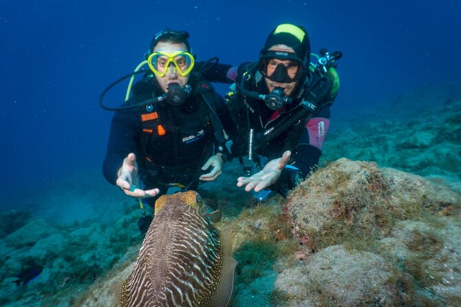 Discover Scuba Diving, Playa de las Americas - The 40 to 45-minute route along the breakwater