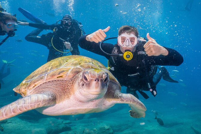 Discover Scuba Diving program: shore + boat dives - Key points at a glance