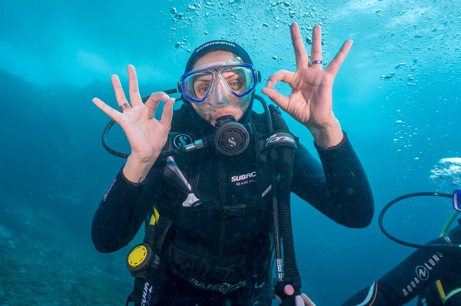 Discover Scuba Diving program: shore + boat dives - Following Tenerife’s breakwater marine life