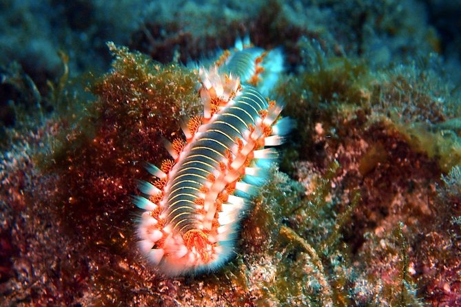Discover Scuba Diving - Try it for the first time! - A realistic look at the morning schedule