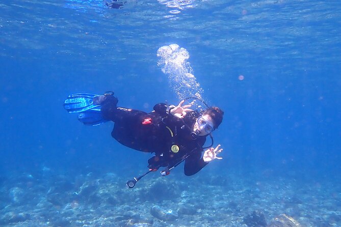 Dives Packages with Transfers in Tenerife - What the four-hour schedule feels like