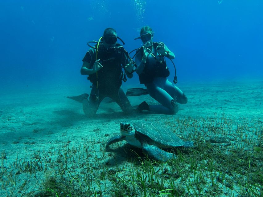 Diving course for beginners in turtle area Tenerife - Shallow water practice before the open sea