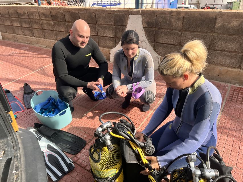 Diving course for beginners in turtle area Tenerife - Moving out to Tenerife’s Atlantic sea life