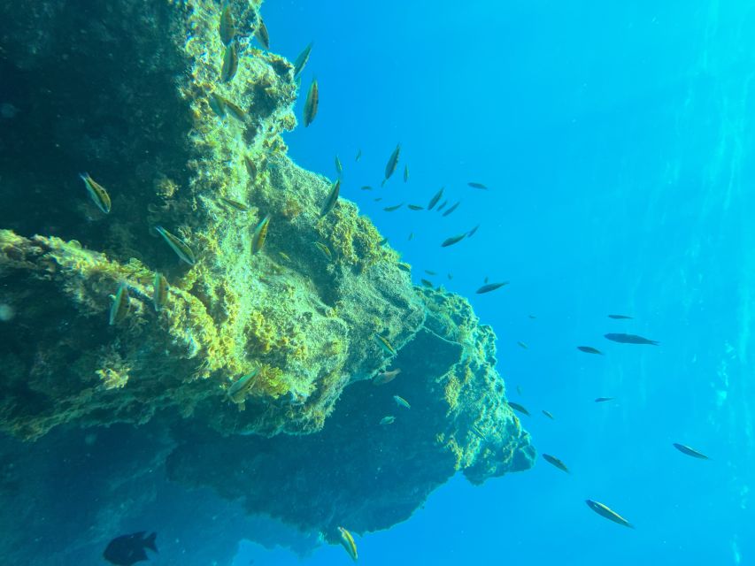 Diving course for beginners in turtle area Tenerife - What the $100 price really covers