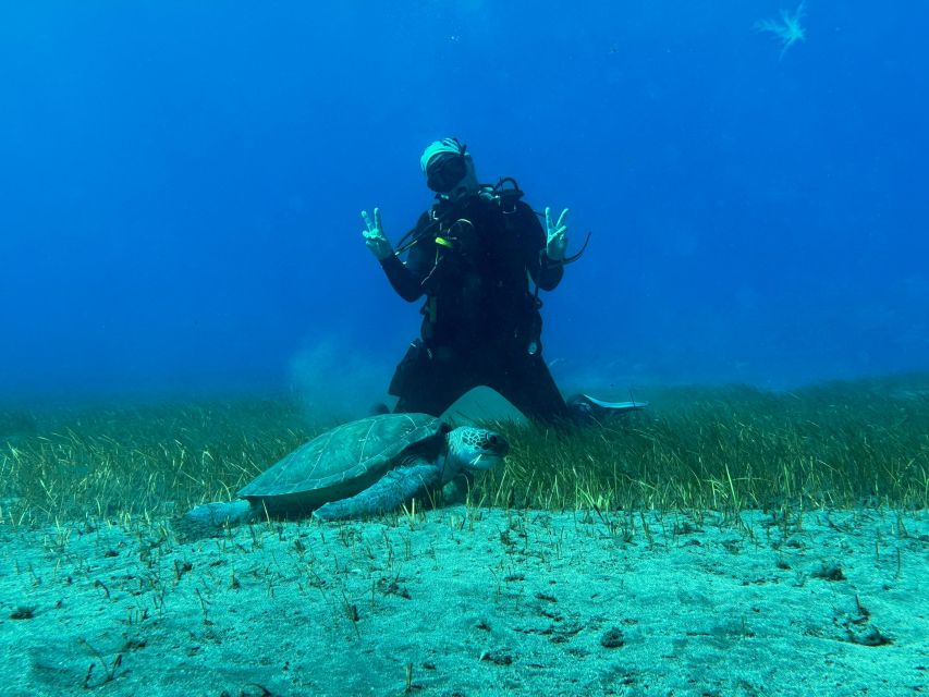 Diving course for beginners in turtle area Tenerife - How the course feels for first-timers